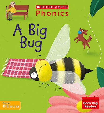 PHONICS BOOK BAG READERS: A BIG BUG book cover