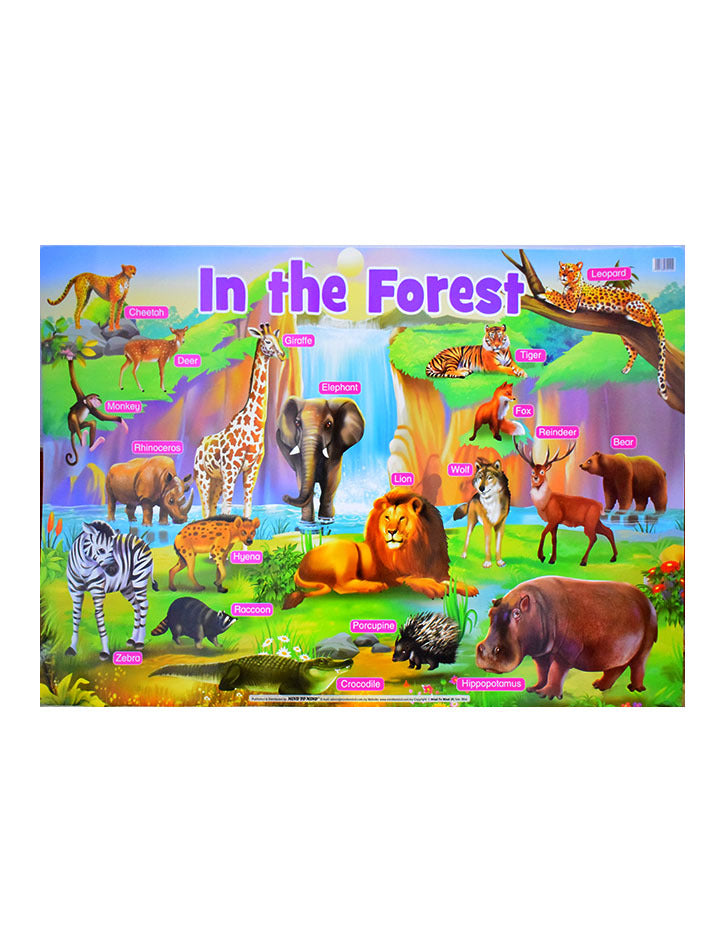 IN THE FOREST - EDUCATIONAL CHARTS
