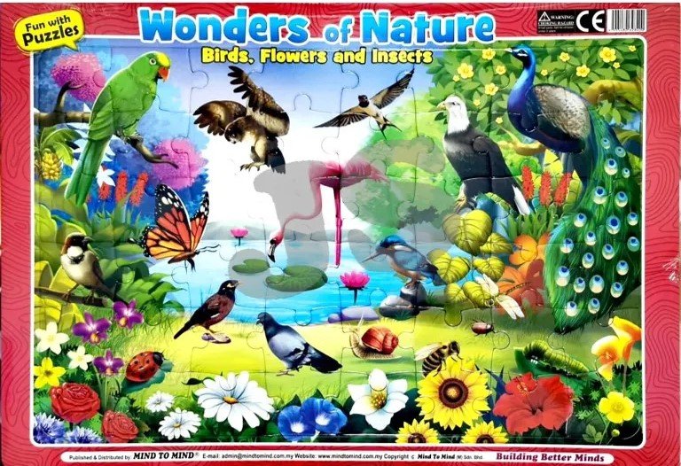 FUN WITH PUZZLES: WONDERS OF NATURE BIRDS,FLOWERS & INSECTS - Paramount Books   