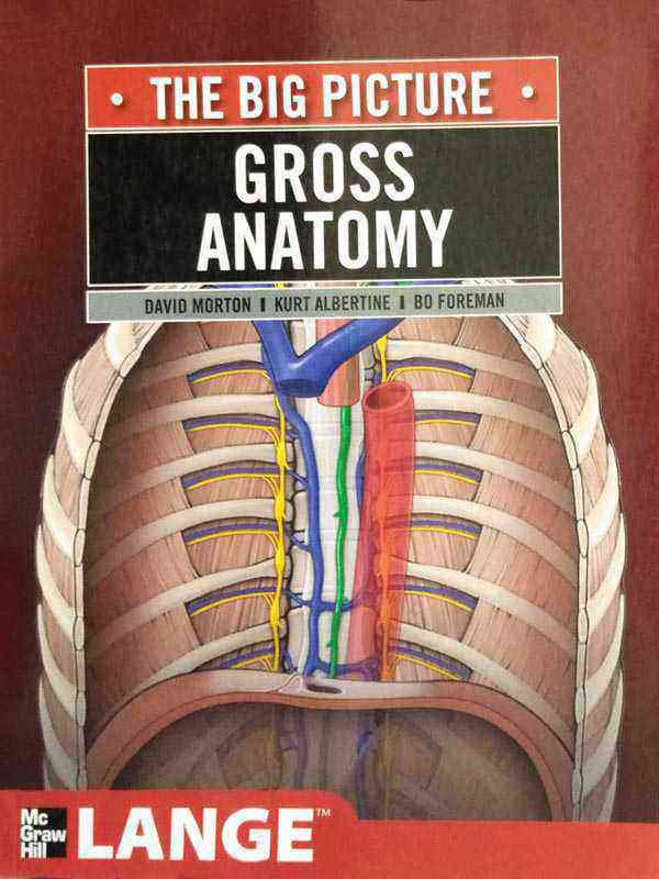 THE BIG PICTURE: GROSS ANATOMY - Paramount Books   