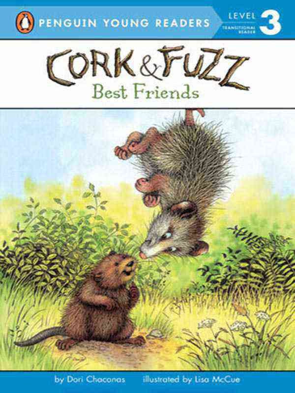 PYR LEVEL-3: CORK AND FUZZ: BEST FRIENDS (TRANSITIONAL READER) - Paramount Books   