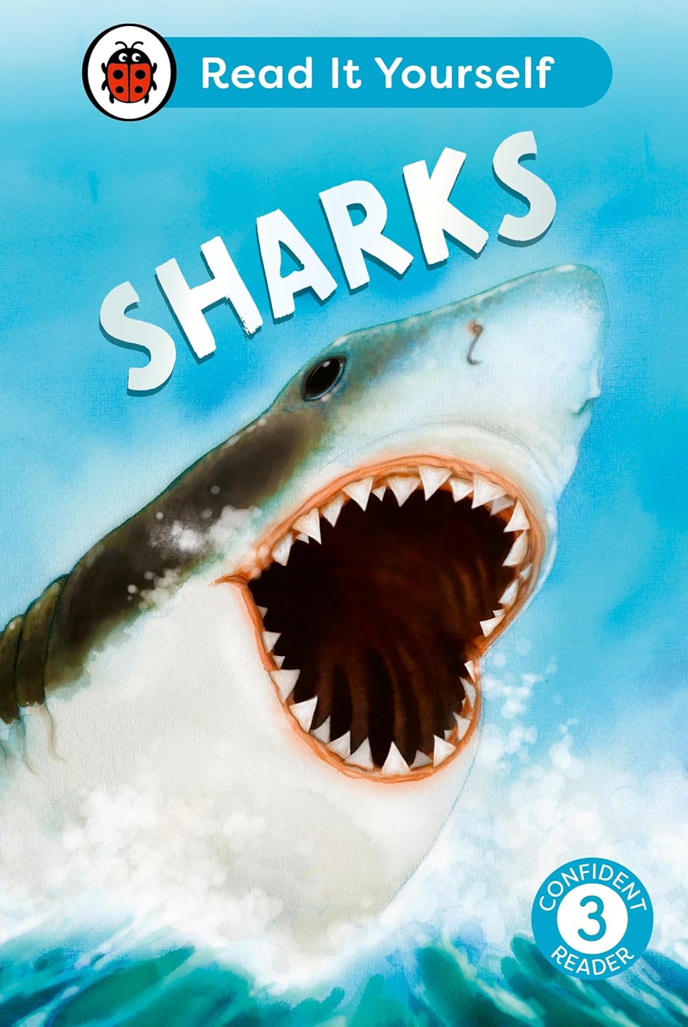 RIY LEVEL-3: SHARKS (LARGE)
