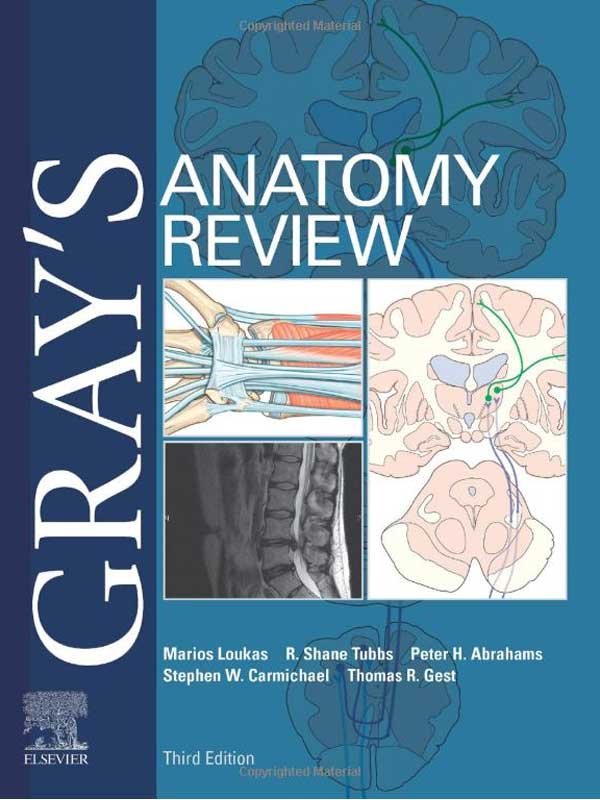 GRAY'S ANATOMY REVIEW