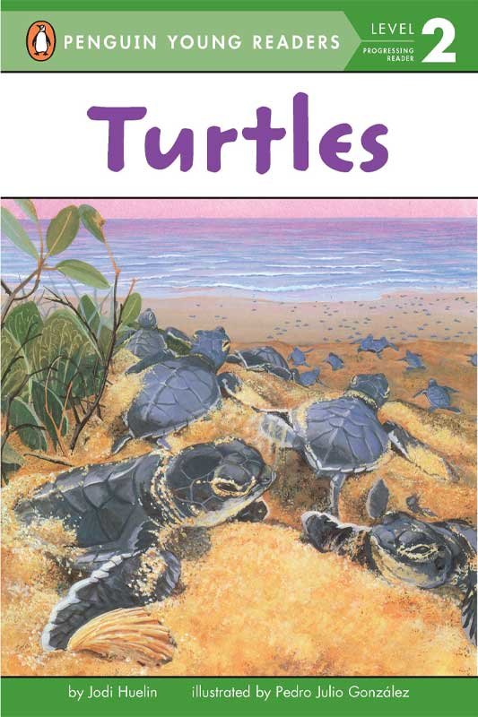 PYR LEVEL-2: TURTLES (PROGRESSING READER) - Paramount Books   