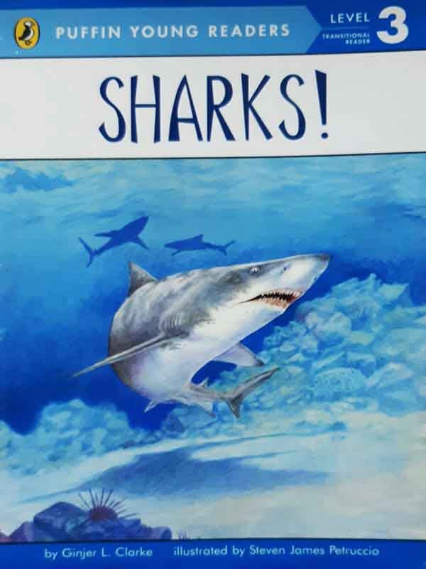 PYR LEVEL-3: SHARKS! (TRANSITIONAL READER) - Paramount Books   