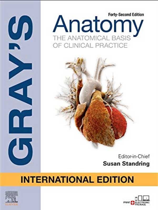 GRAY&#8217;S ANATOMY, INTERNATIONAL EDITION - Paramount Books   