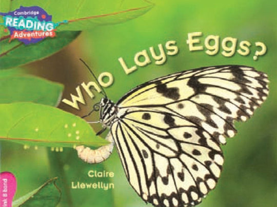 CAMBRIDGE READING ADVENTURES: PINK B BAND: WHO LAYS EGGS? (NOC)