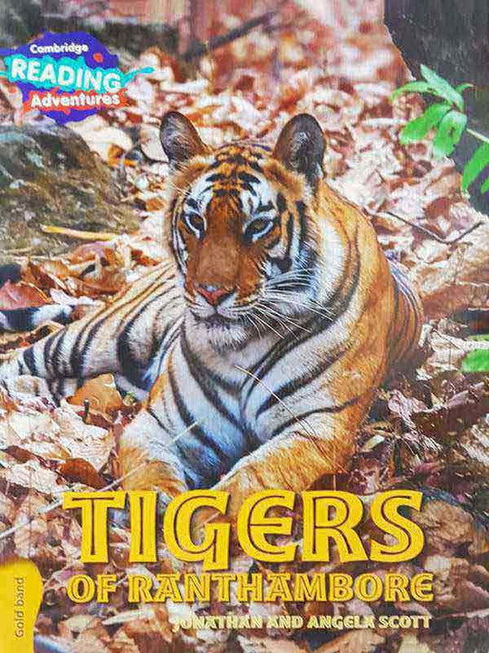 CAMBRIDGE READING ADVENTURES: GOLD BAND: TIGERS OF RANTHAMBORE GOLD BAND - Paramount Books   