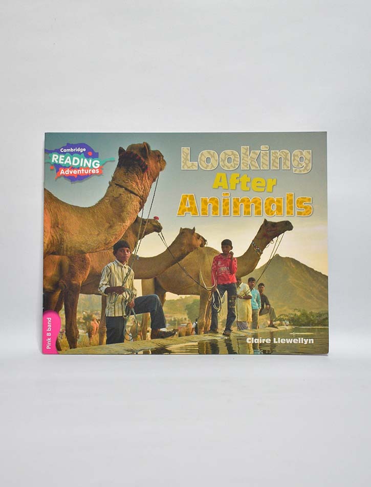 CAMBRIDGE READING ADVENTURES: PINK B BAND: LOOKING AFTER ANIMALS