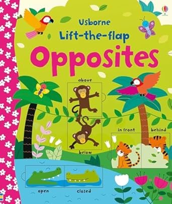 LIFT-THE-FLAP: OPPOSITES - Paramount Books   