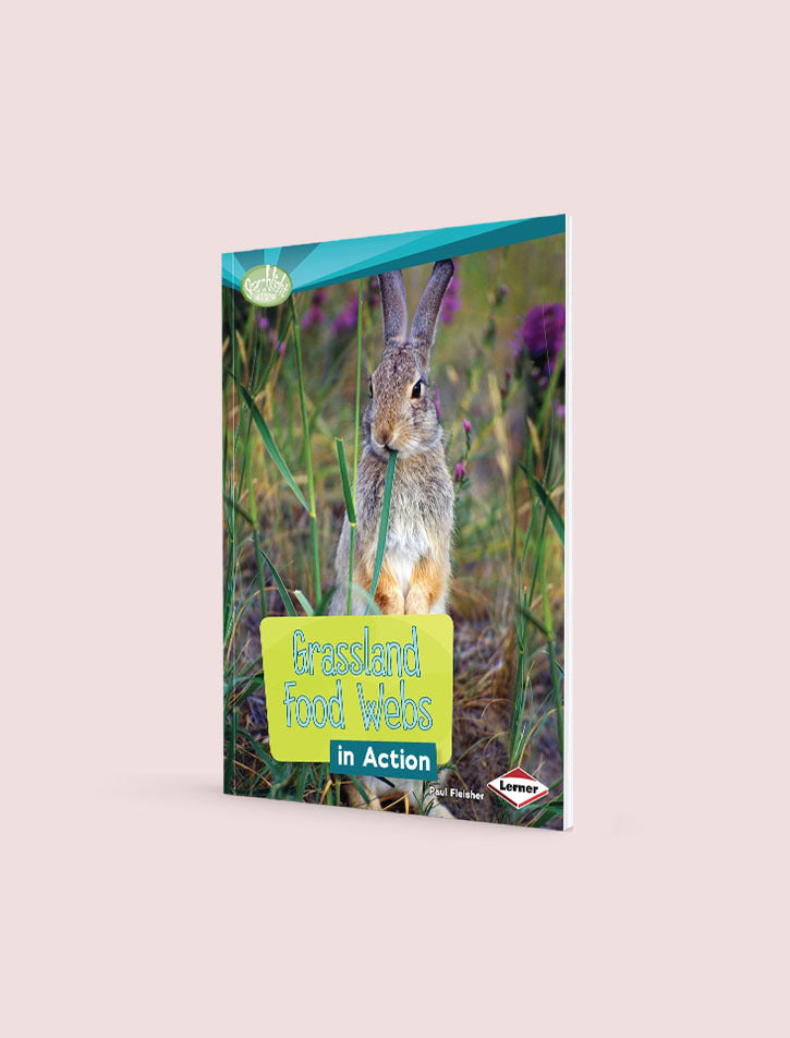 GRASSLAND FOOD WEBS IN ACTION