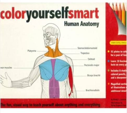 COLOR YOURSELF SMART HUMAN ANATOMY - Paramount Books   