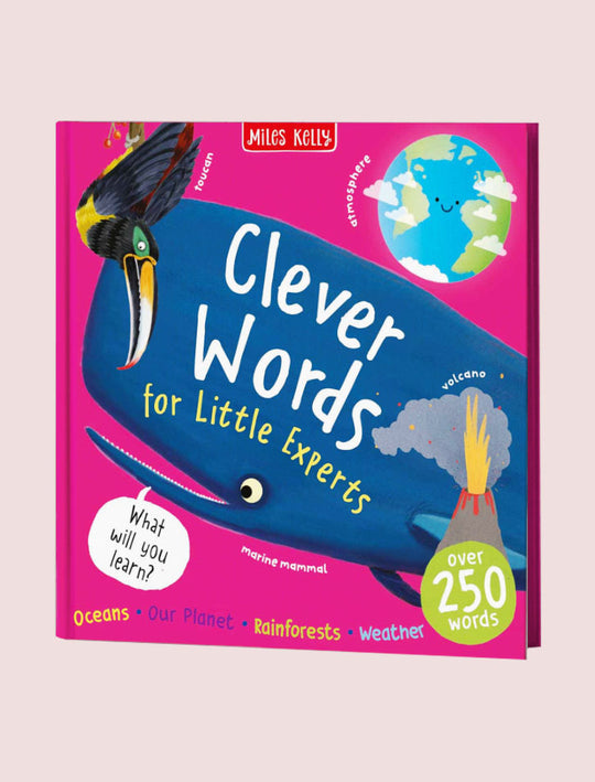 N48 BW LITTLE EXPERTS CLEVER WORD