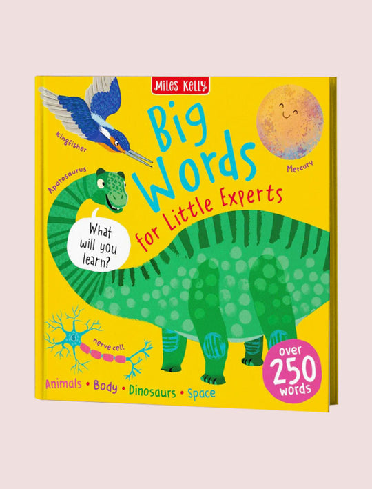 N48 BW LITTLE EXPERTS BIG WORDS