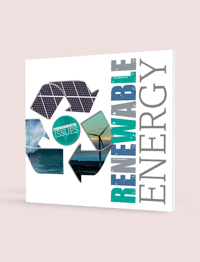 ENVIRONMENTAL ISSUES: RENEWABLE ENERGY
