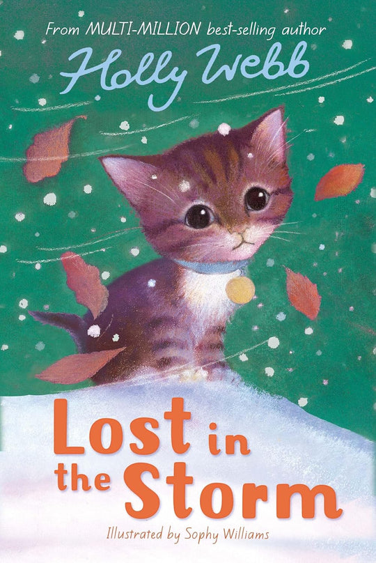 LOST IN THE STORM