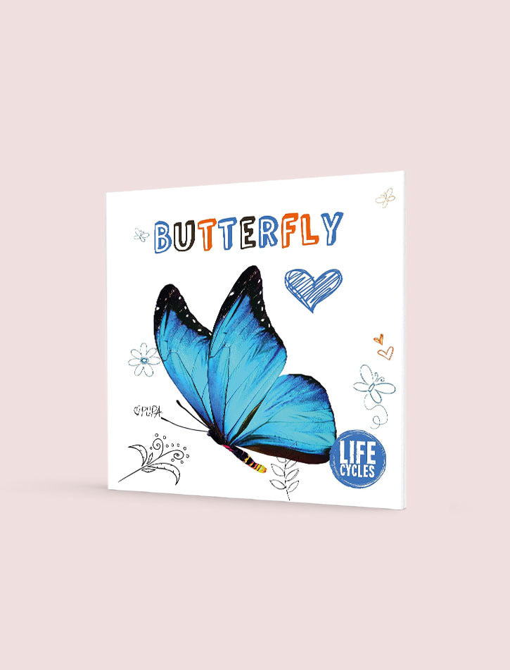 BUTTERFLY (LIFE CYCLES)