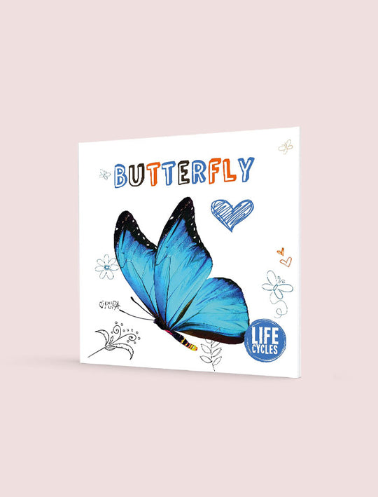 BUTTERFLY (LIFE CYCLES)
