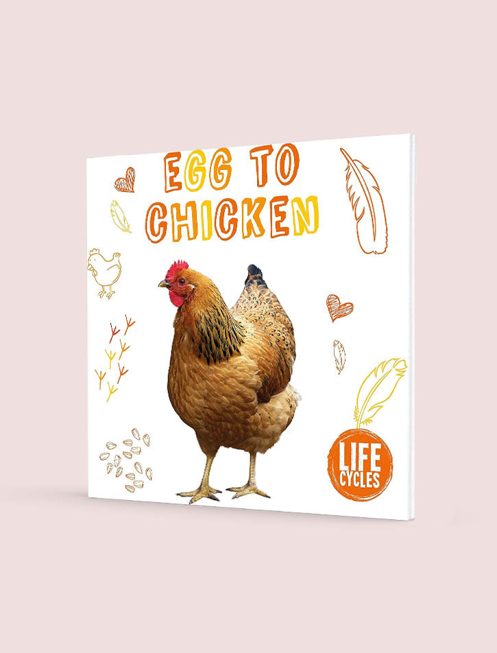 CHICKEN (LIFE CYCLES)