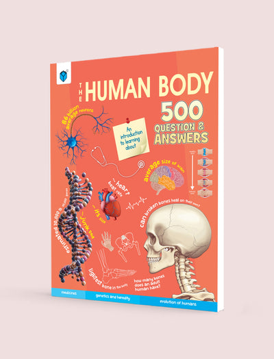 500 QUESTIONS AND ANSWERS - HUMAN BODY