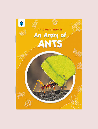 DISCOVERING INSECTS: AN ARMY OF ANTS