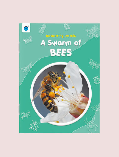DISCOVERING INSECTS: A SWARM OF BEES