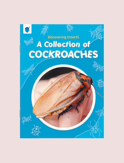 DISCOVERING INSECTS: A COLLECTION OF COCKROACHES