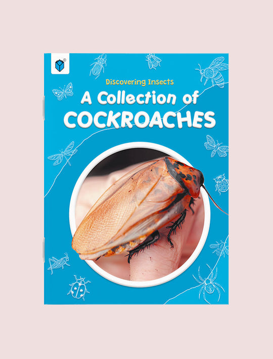 DISCOVERING INSECTS: A COLLECTION OF COCKROACHES