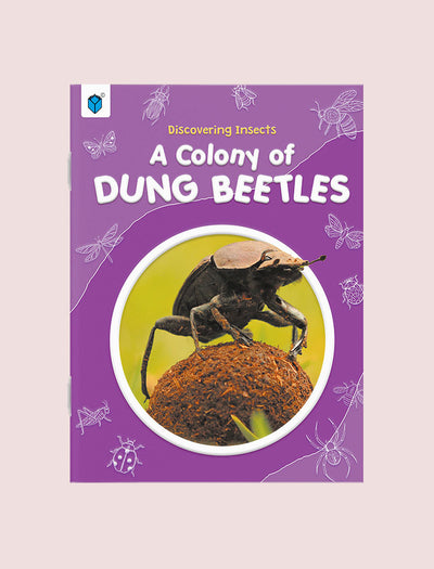 DISCOVERING INSECTS: A COLONY OF DUNG BEETLES