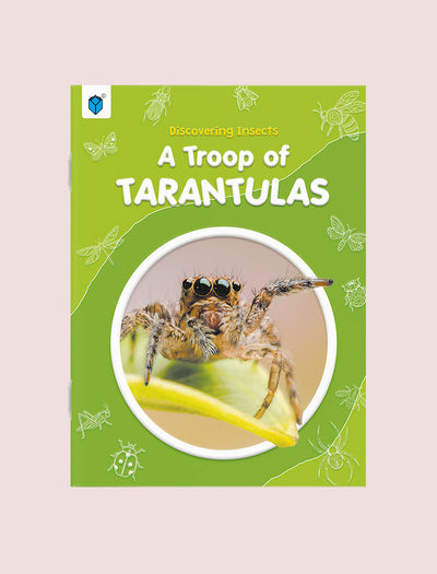 DISCOVERING INSECTS: A TROOP OF TARANTULAS