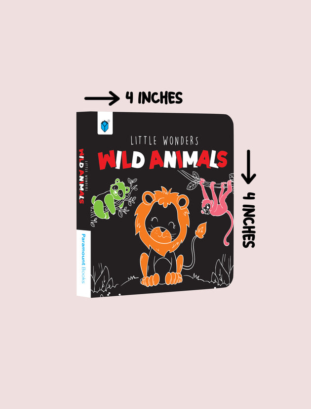 A children's board book titled 'Little Wonders Wild Animals' shown on a pale pink background with measurement arrows indicating 4 inches by 4 inches. The cover is black with colorful animal illustrations, including an orange lion, a green monkey, and a pink chameleon.