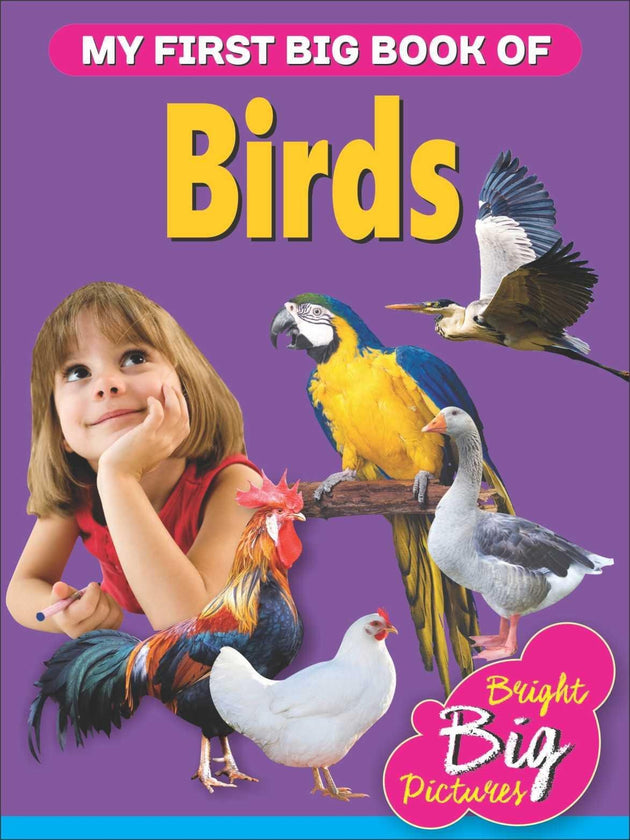 MY FIRST BIG BOOK OF BIRDS - Paramount Books   