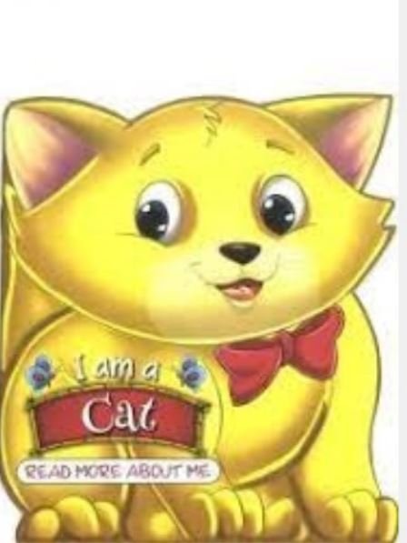 I AM A CAT: READ MORE ABOUT ME