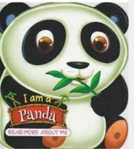 I AM A PANDA: READ MORE ABOUT ME