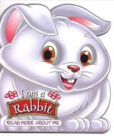 I AM A RABBIT: READ MORE ABOUT ME