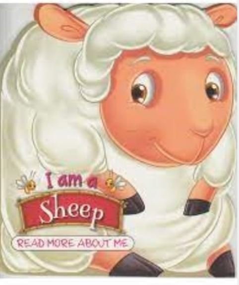I AM A SHEEP: READ MORE ABOUT ME