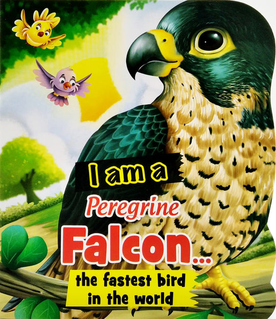 I AM A: PEREGRINE FALCON