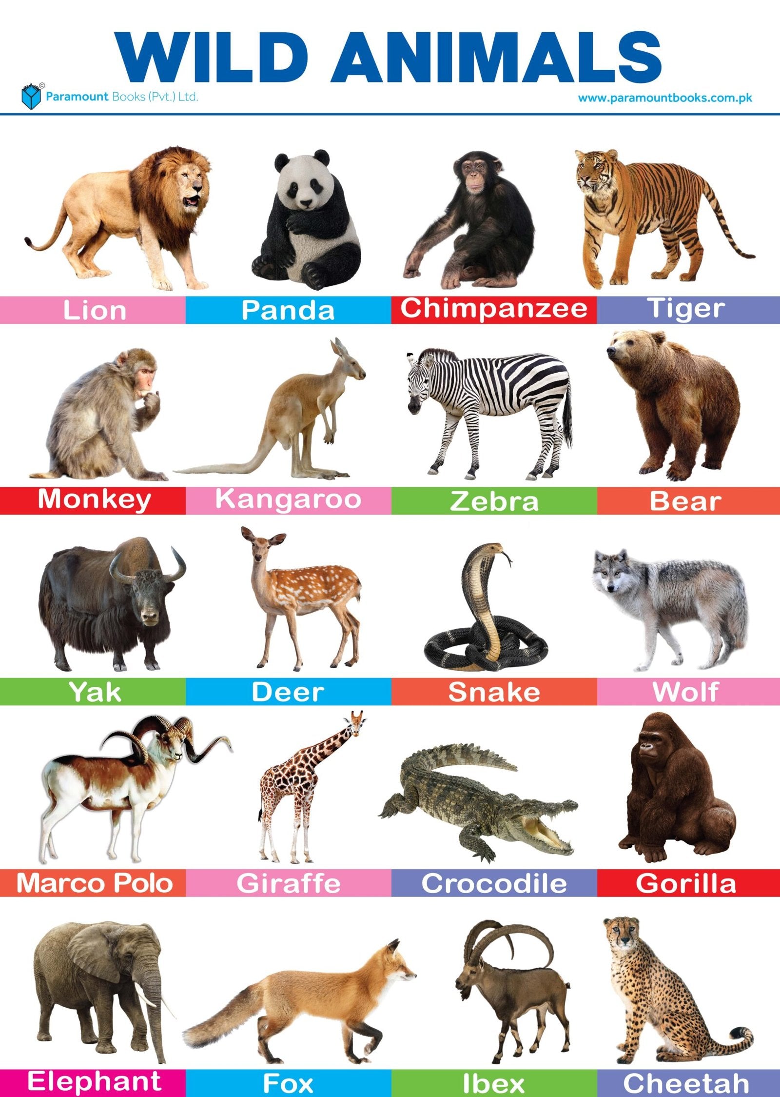PARAMOUNT WALL CHART: WILD ANIMALS