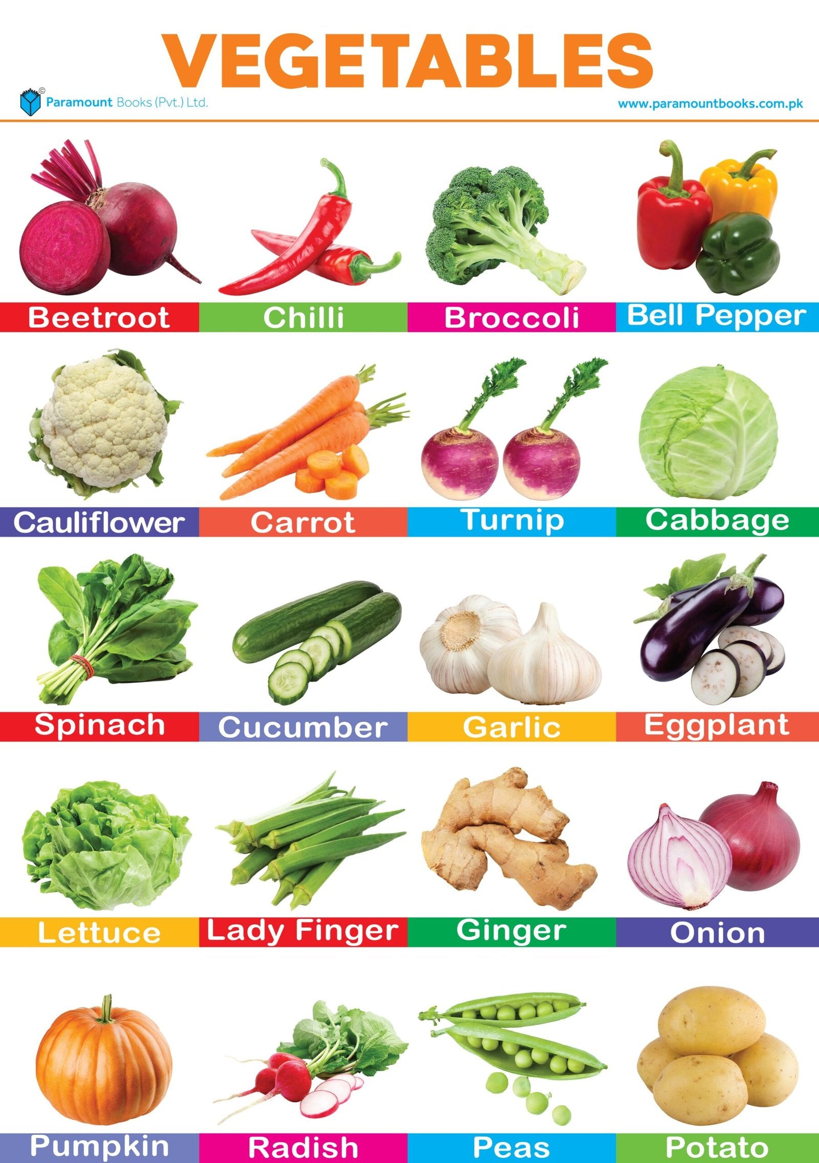 PARAMOUNT WALL CHART : VEGETABLES