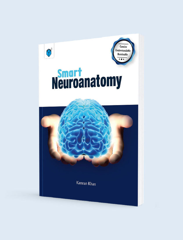 SMART NEUROANATOMY