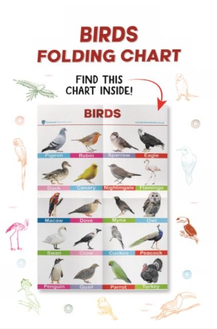 PARAMOUNT BIRDS FOLDING CHART - Paramount Books   