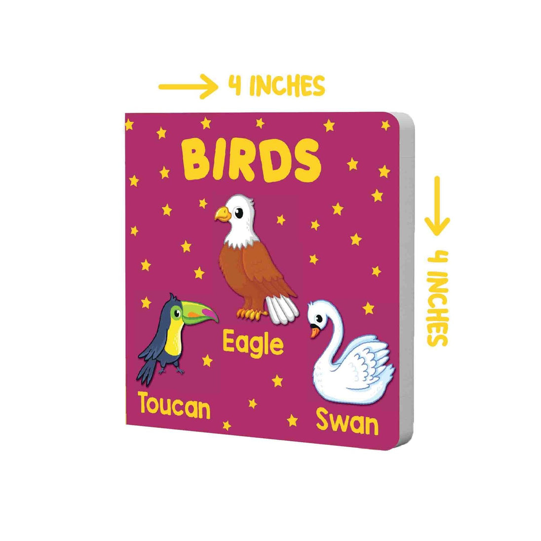 PARAMOUNT LITTLE HANDâ€™S BOARD BOOK BIRDS - Paramount Books   