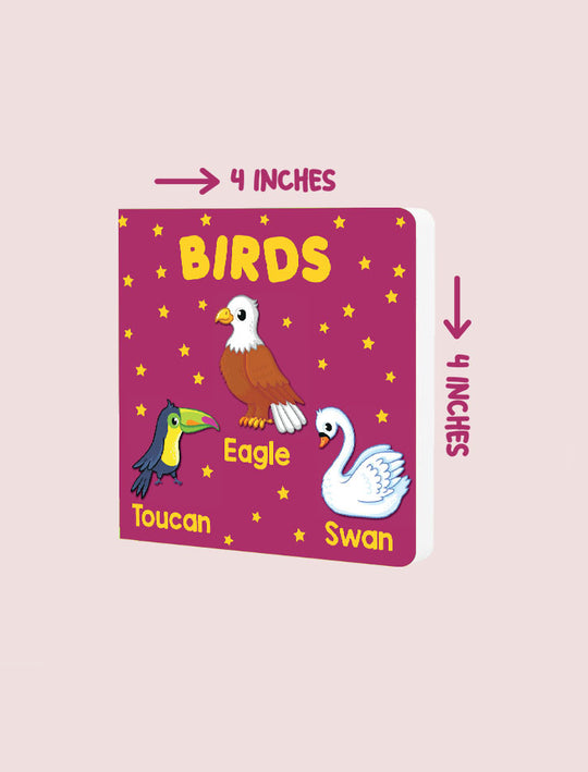 PARAMOUNT LITTLE HAND'S BOARD BOOK BIRDS