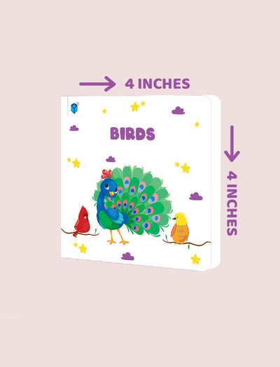 PARAMOUNT LITTLE HAND'S BOARD BOOK BIRDS