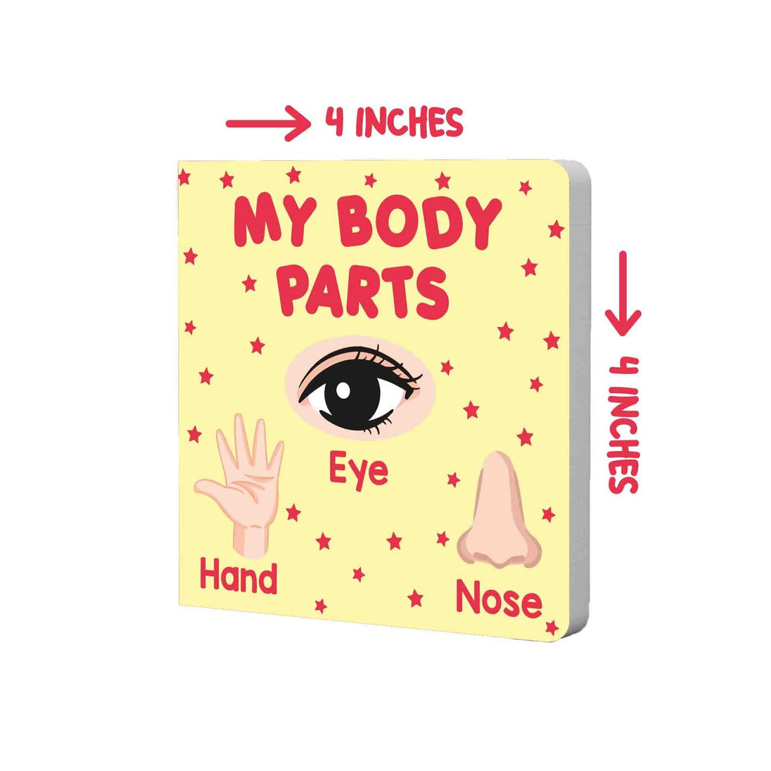 PARAMOUNT LITTLE HANDâ€™S BOARD BOOK MY BODY PARTS - Paramount Books   