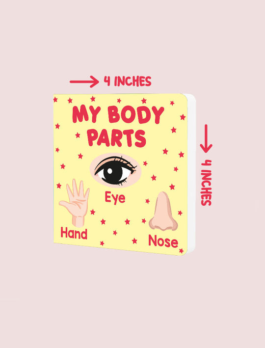 PARAMOUNT LITTLE HAND'S BOARD BOOK MY BODY PARTS