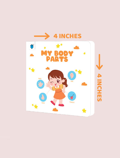 PARAMOUNT LITTLE HAND'S BOARD BOOK MY BODY PARTS