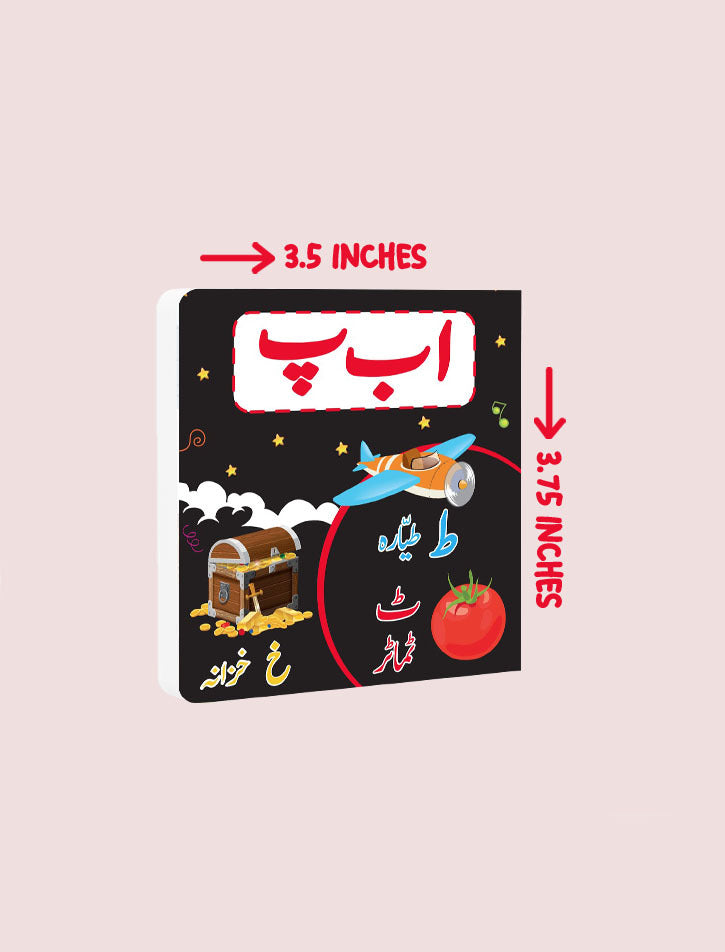 MY TINY BOARD BOOKS: ALIF BAY PAY