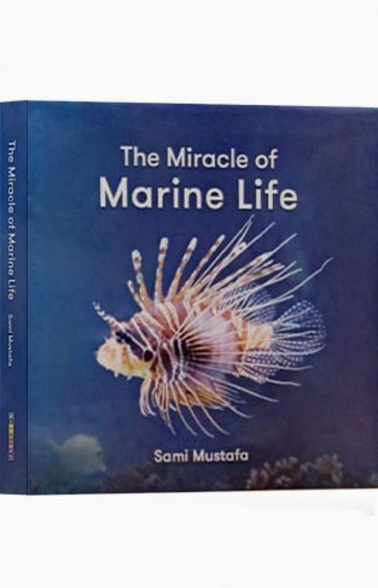 THE MIRACLE OF MARINE LIFE - Paramount Books   