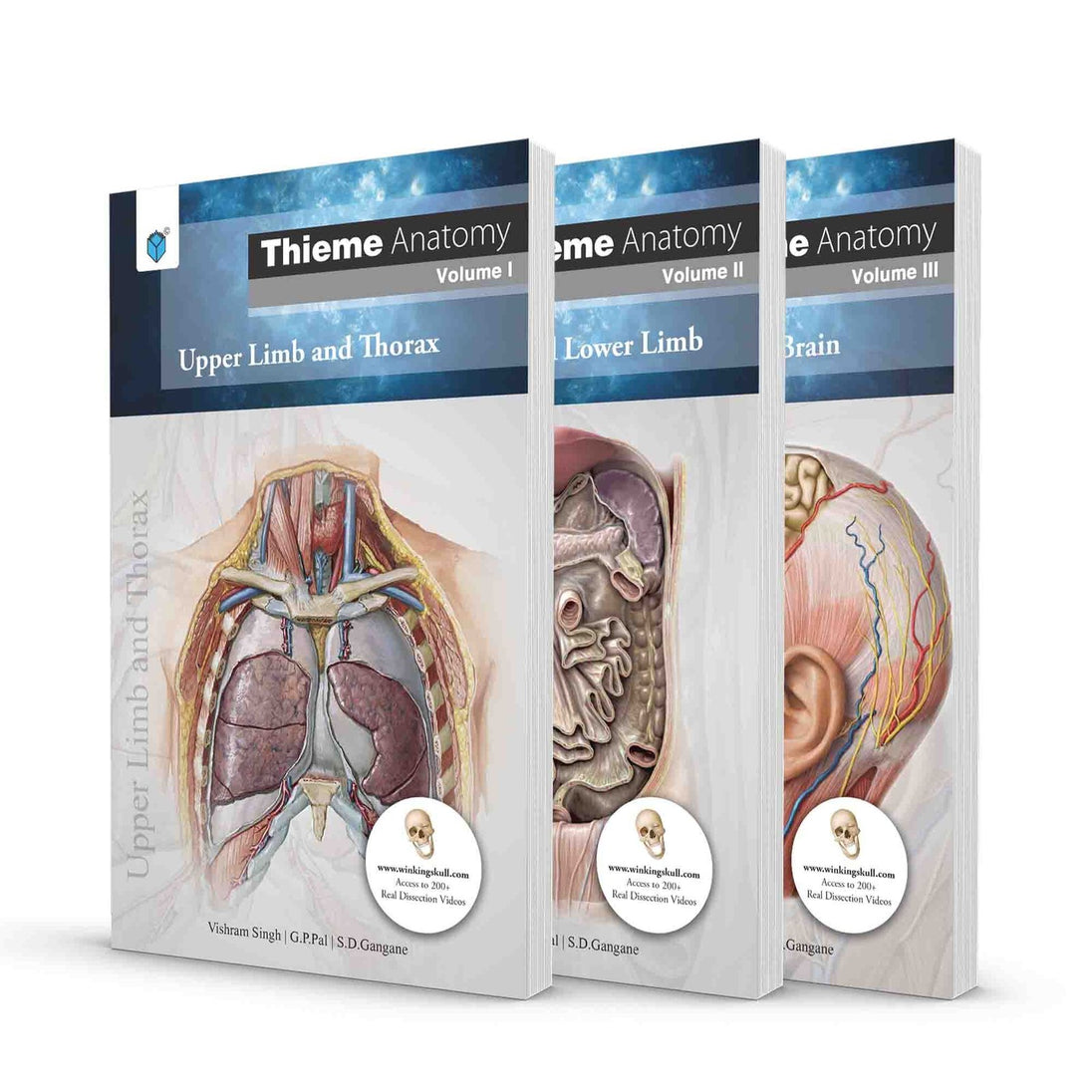 THIEME ANATOMY: UPPER LIMB & THORAX/ABDOMEN & LOWER LIMB/HEAD, NECK & BRAIN (3 VOLS PACK) - Paramount Books   